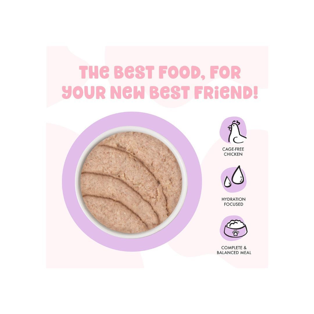 Bff Kitten Cute To Boot Chicken 2.8oz. (Case of 12)