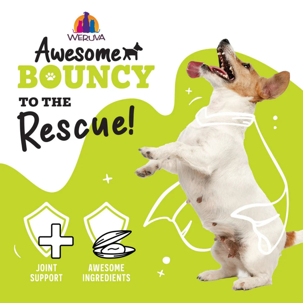 Weruva Dog Bouncy Beef & Rice 6oz. (Case of 8)