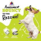 Weruva Dog Bouncy Chicken & Veggie 6oz. (Case of 8)