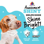 Weruva Dog Shiny Beef & Rice 6oz. (Case of 8)