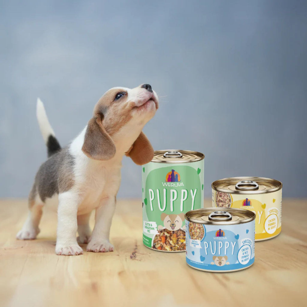 Weruva Dog Puppy Chicken & Rice Formula 14oz. - (Case of 10)