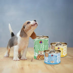 Weruva Dog Puppy Chicken & Rice Formula 14oz. - (Case of 10)