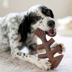 !Benebone Fishbone Dog Chew Toy Salmon, 1ea/XL