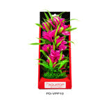 Aquatop Vibrant Passion Plant Pink; 1ea-10 in