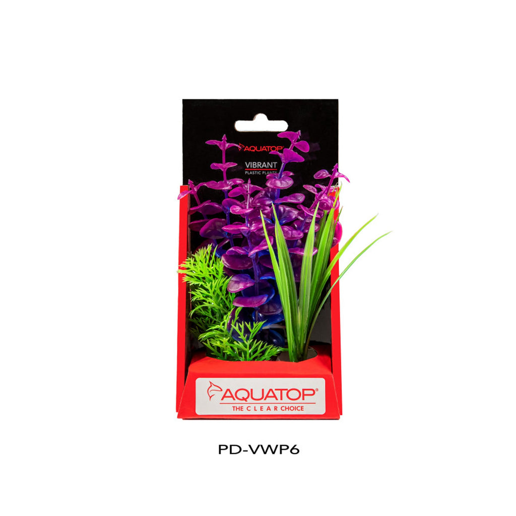 Aquatop Vibrant Wild Plant Purpleberry 6in