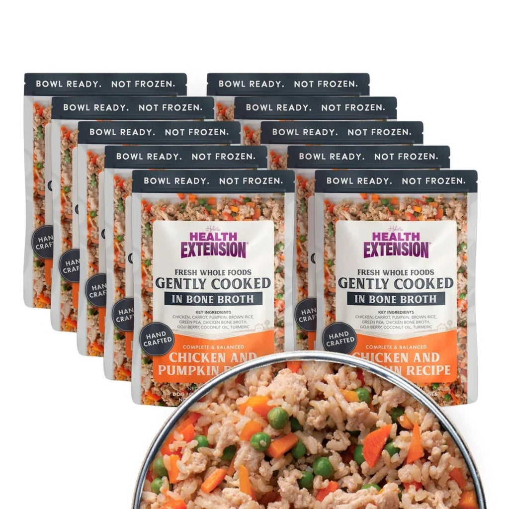 Health Extension Gently Cooked Chicken & Pumpkin Dog 9oz. (Case of 10)