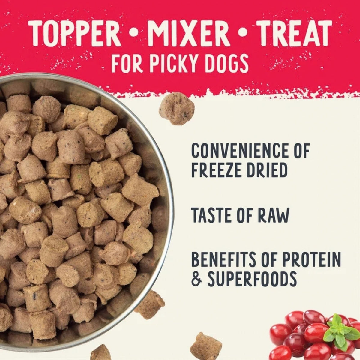 Health Extension Freeze Dried Raw Beef Meal Mixer Dog 12oz.