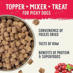 Health Extension Freeze Dried Beef Meal Mixer .75oz.