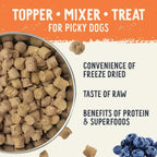 Health Extension Freeze Dried Chicken Meal Mixer Trial Size .75oz