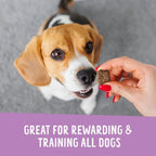 Health Extension Crunchy Munchies Granola Bites-Blueberry Ruffin Dog Treats 5oz.