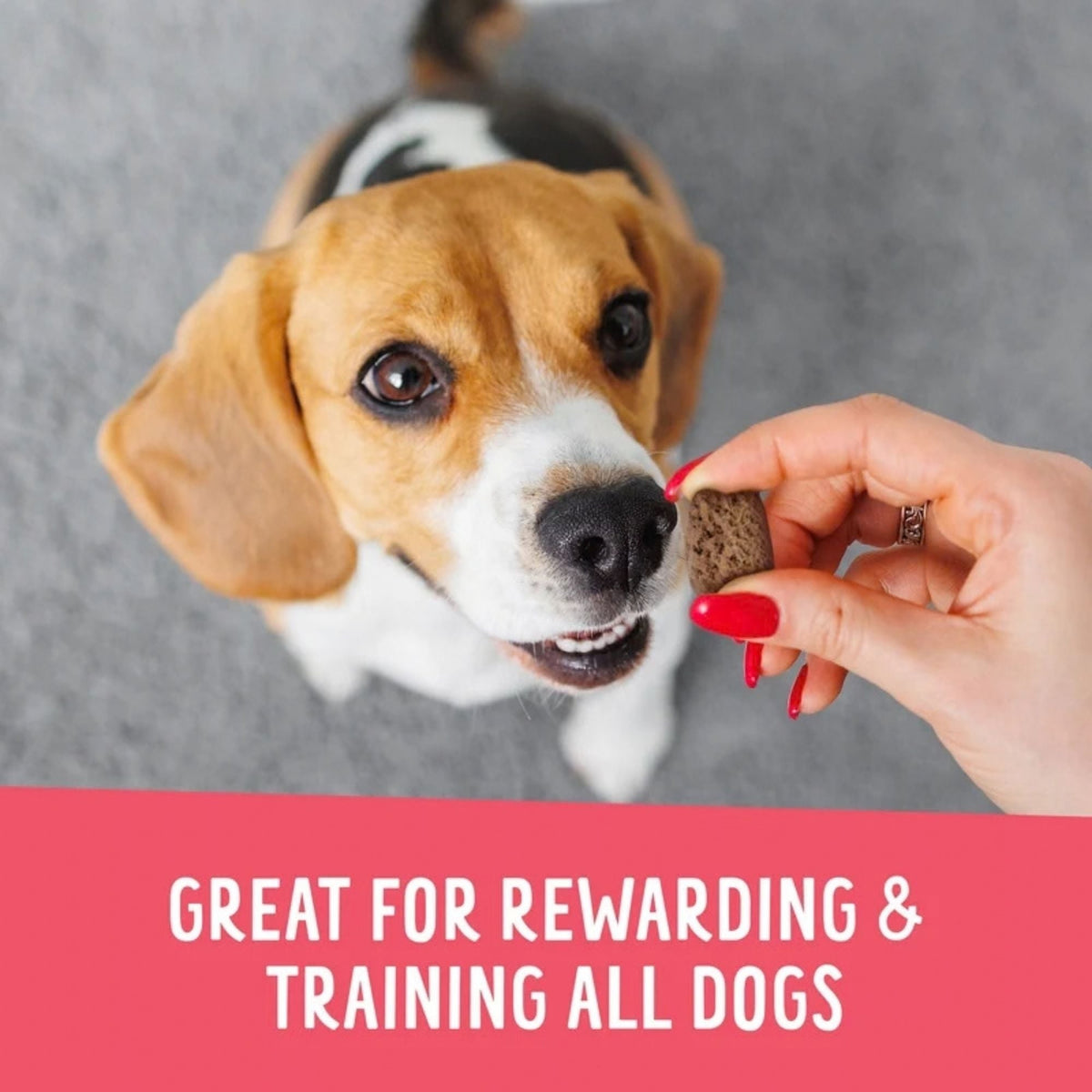 Health Extension Crunchy Munchies Granola Bites-Appley Chrisp Dog Treats 5oz.