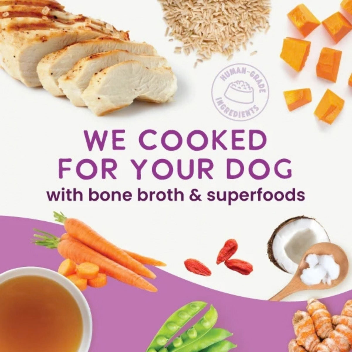 Health Extension Gently Cooked Chicken & Pumpkin Dog 3oz. (Case of 20)