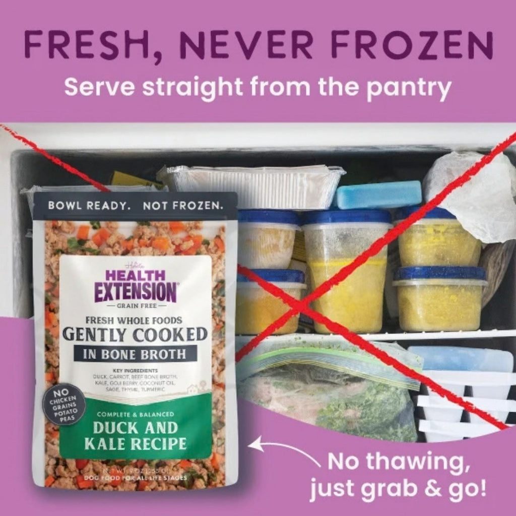 Health Extension Gently Cooked Duck & Kale Dog 3oz. (Case of 20)