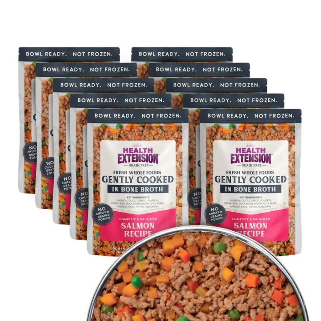 Health Extension Gently Cooked Salmon Dog 9oz. (Case of 10)