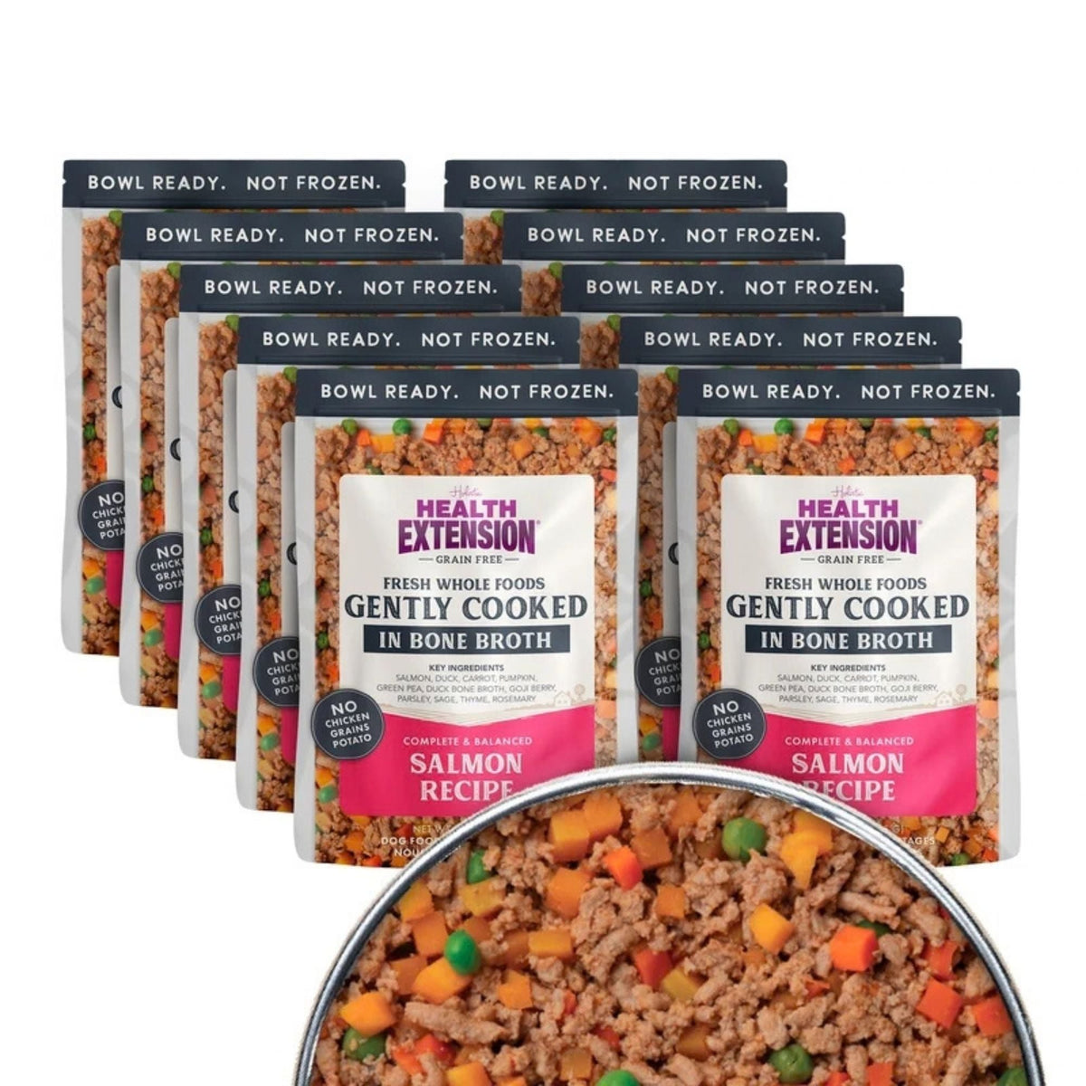 Health Extension Gently Cooked Salmon Dog 9oz. (Case of 10)