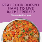 Health Extension Gently Cooked Vegetarian Dog  9oz. (Case of 10)