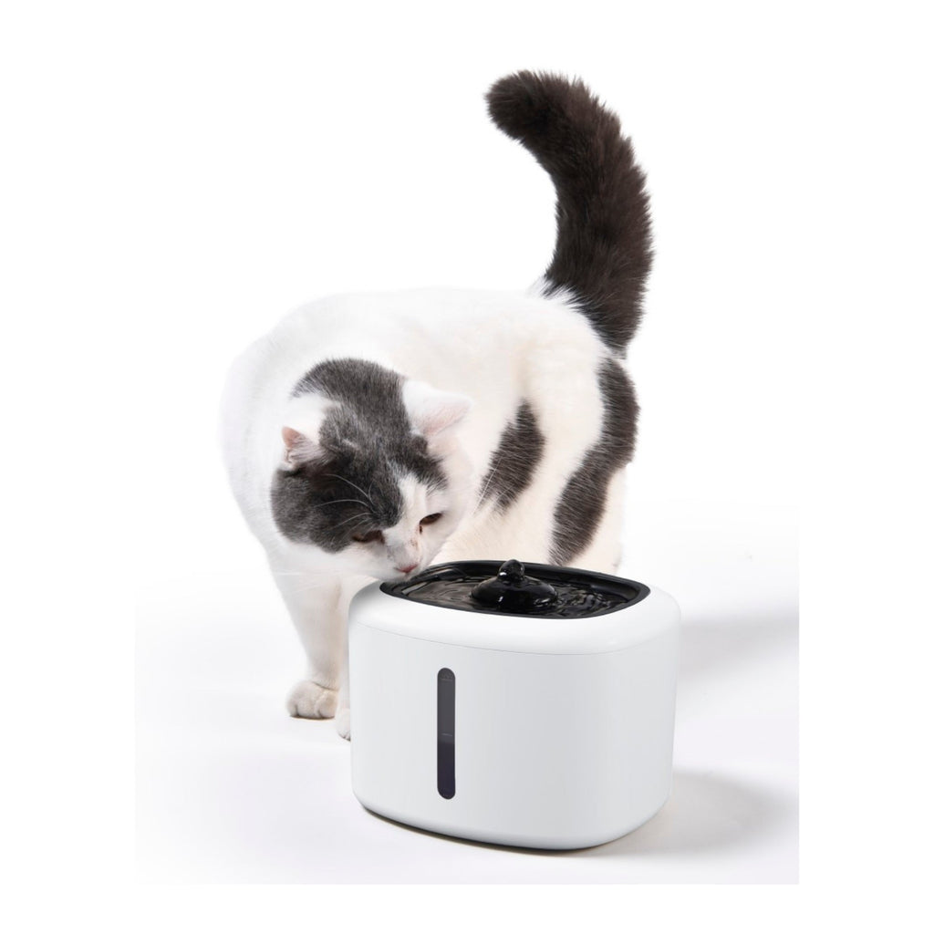 Max & Marlow Automatic Water Fountain Black & White, 1ea/84 oz.