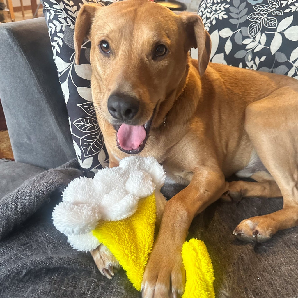 Cycle Dog Brewgear Pint Of Beer Dog Toy Assorted