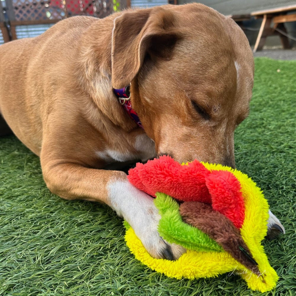 Cycle Dog Duraplush Taco Snuffle Dog Toy Yellow Medium