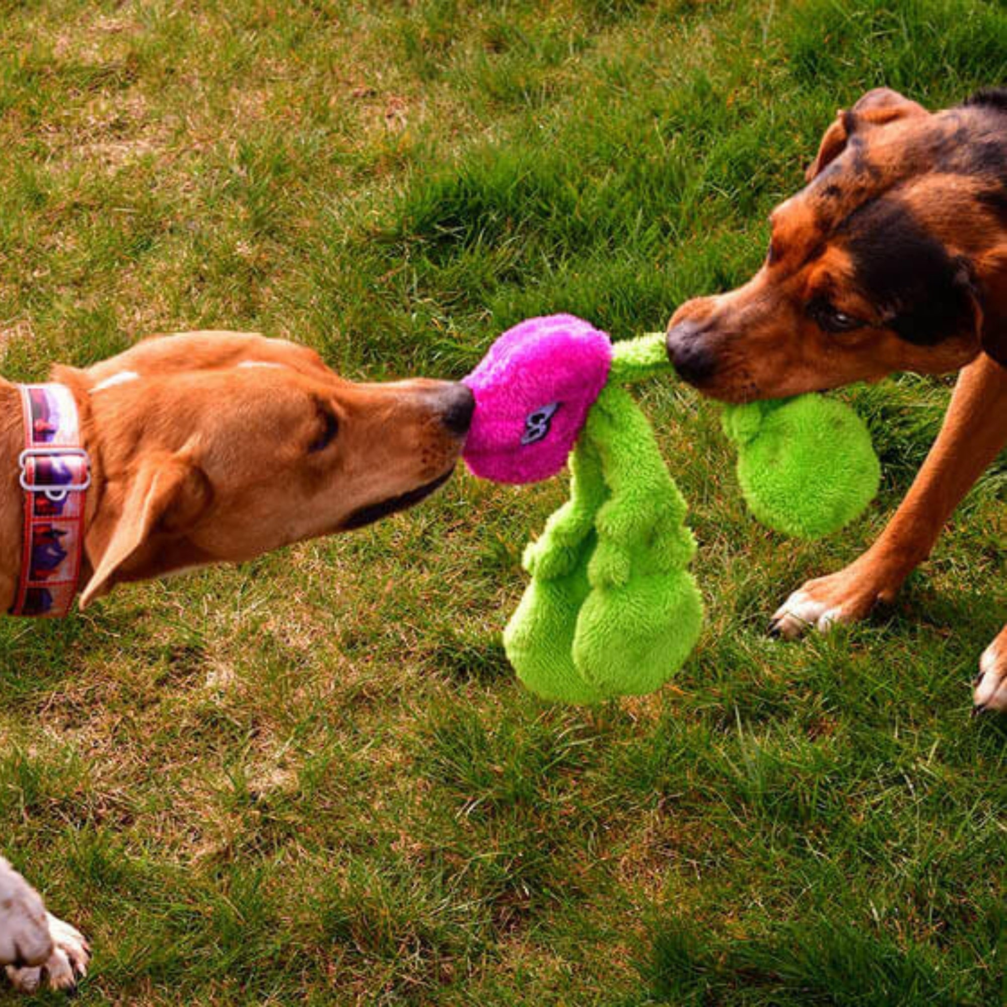 Cycle Dog Duraplush Radish Puzzle Dog Toy Pink Medium