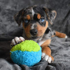 Cycle Dog Duraplush Fuzzball Dog Toy Blue/Green Small