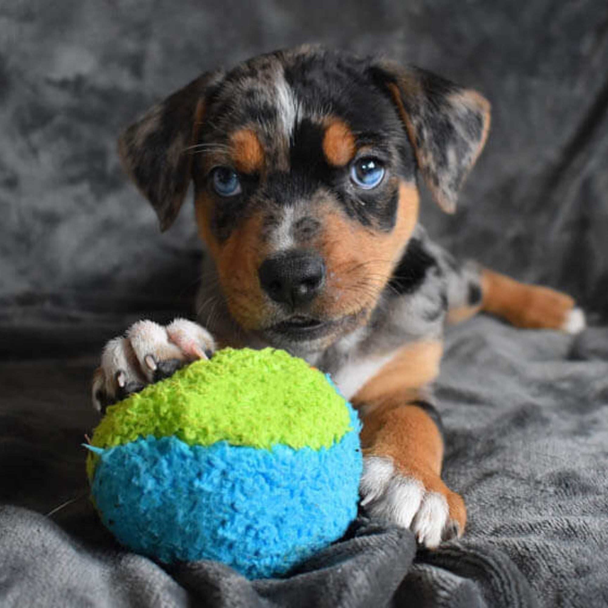 Cycle Dog Duraplush Fuzzball Dog Toy Blue/Green Small