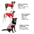 Kurgo Dog Jacket Loft Blue/Orange Small
