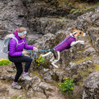 Kurgo Dog Loft Jacket Violet Small