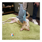 Hugglehounds Dog Hugglesnuffles Chomp & Chase Finn 20"