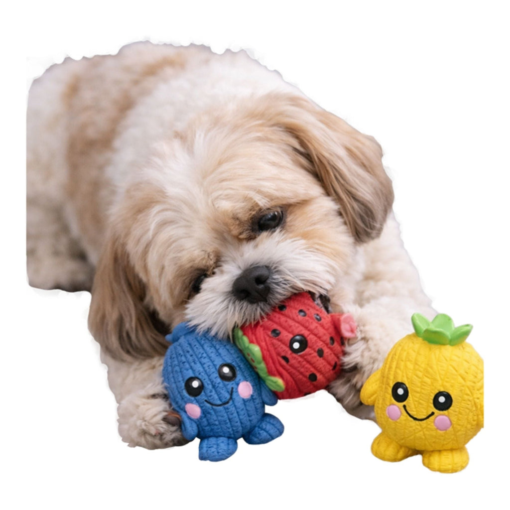 Hugglehounds Dog Ruff - Tex Fruitie Cuties Foodies - 3 Pack