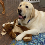 Hugglehounds Dog Rope X Brace Maple Moose 16 Inch