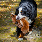 Hugglehounds Dog Rope X Brace Maple Moose 16 Inch