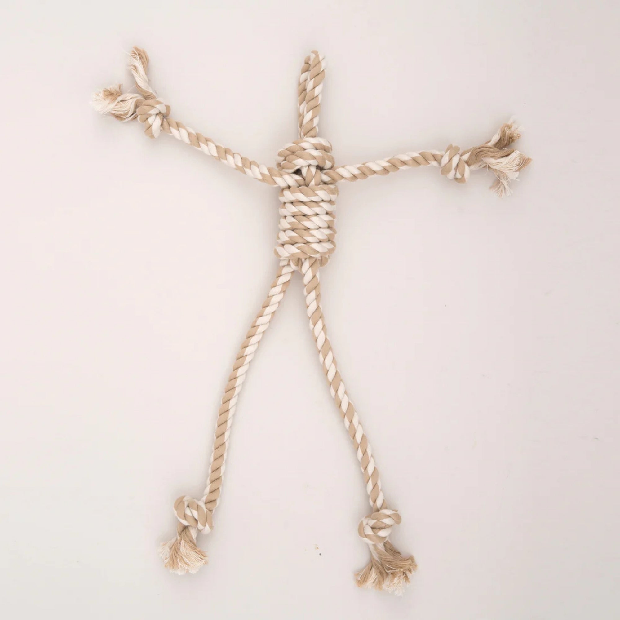 Hugglehounds Dog Rope X Brace Birch Bunny 18 Inch