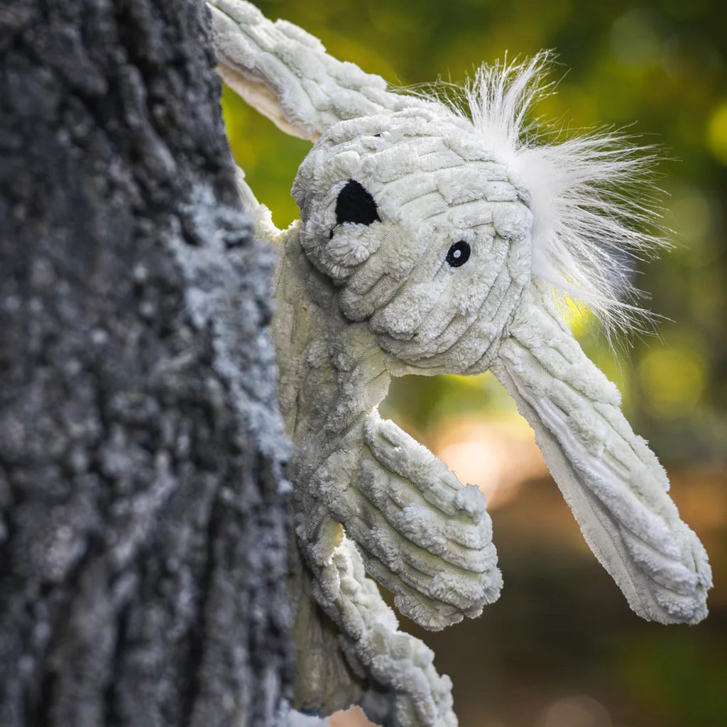 Hugglehounds Dog Huggleflatties Bobbi Bunny