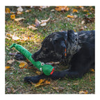 Hugglehounds Dog Knottie Sir Squeaks - A - Lot Snake Small
