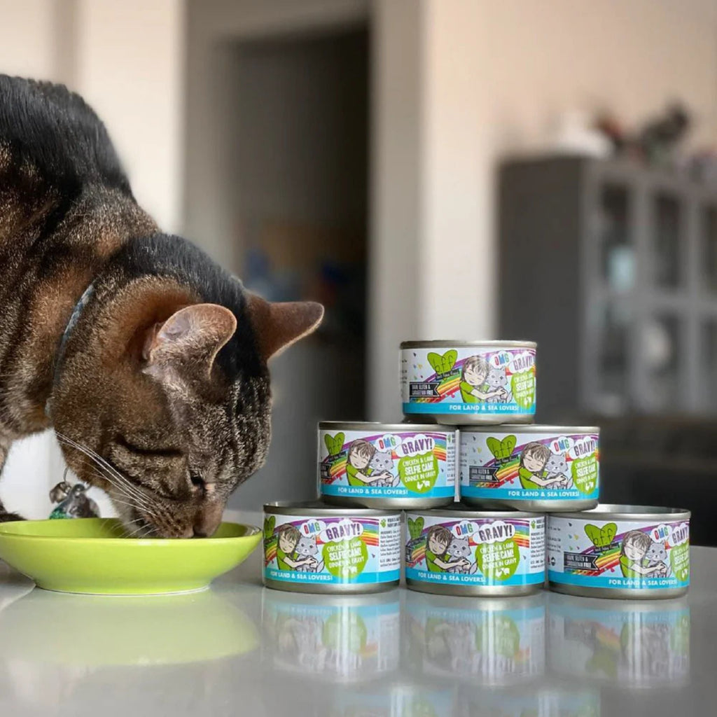 BFF Cat Omg Gravy Qt Patootie Chicken & Turkey 5.5oz. - (Case of 8)