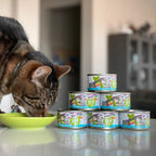 BFF Cat Omg Gravy Qt Patootie Chicken & Turkey 5.5oz. - (Case of 8)