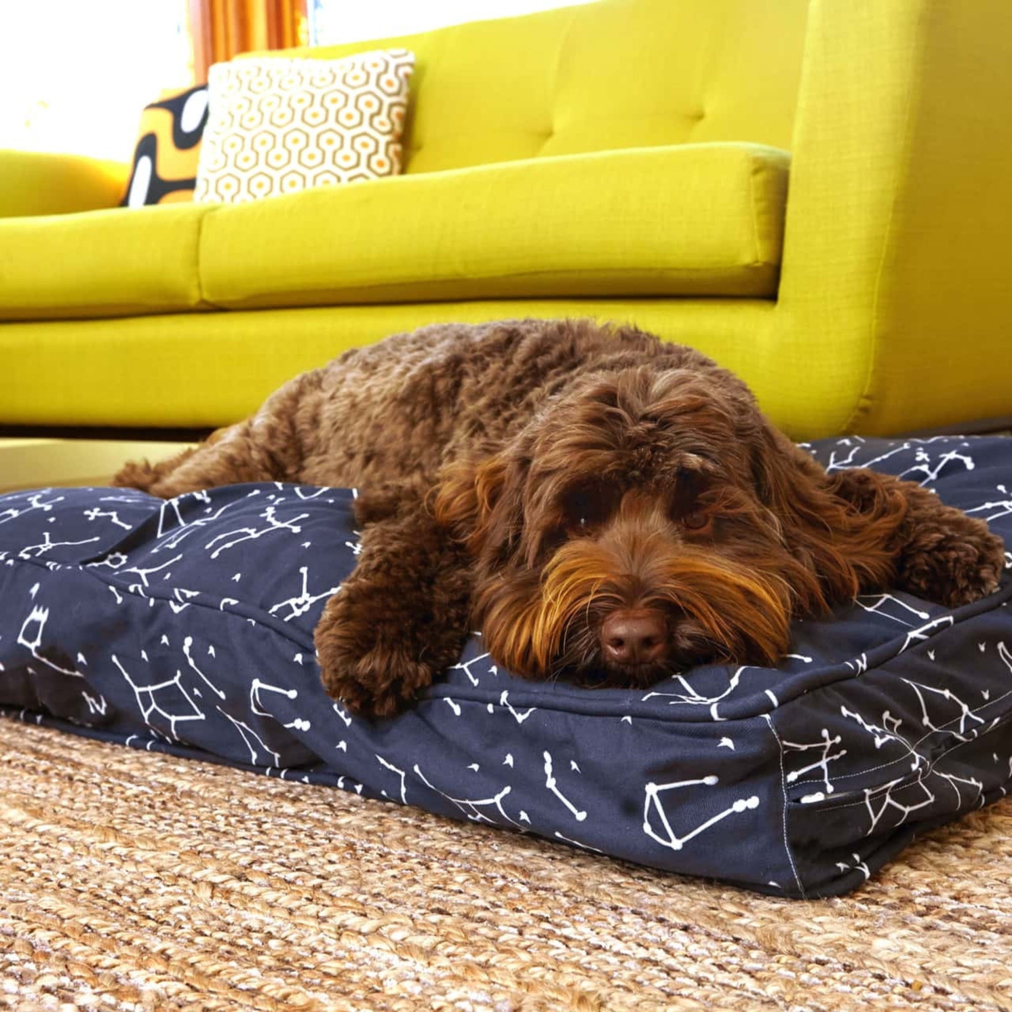 Molly Mutts Dog Duvet Rocketman Small 15-30lbs. 22" x 27" x 5"