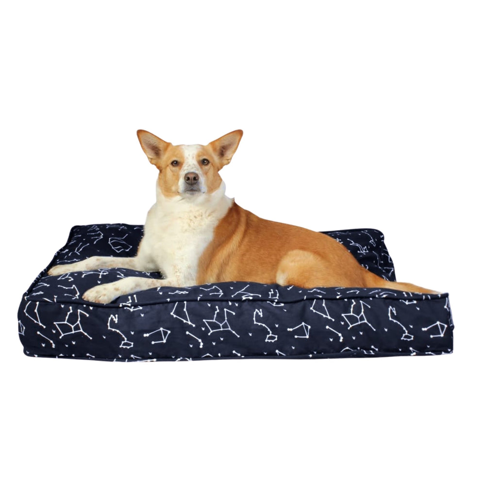 Molly Mutts Dog Duvet Rocketman Small 15-30lbs. 22" x 27" x 5"