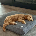 Molly Mutts Dog Duvet Rough Gem Small 15-30lbs. 22" x 27" x 5"