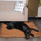 Molly Mutts Dog Duvet Everywhere Medium/Large 30-70lbs. 27" x 36" x 5"