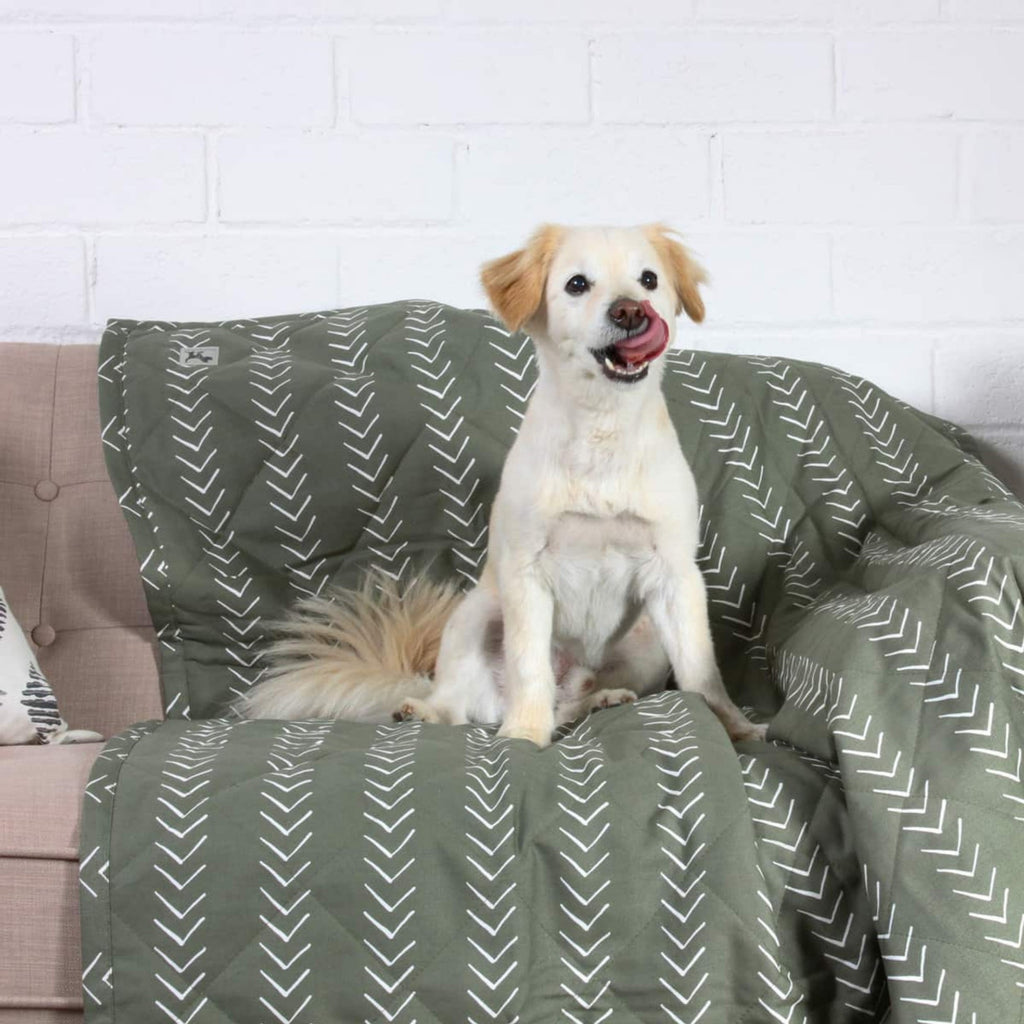Molly Mutts Dog Cat Blanket Forever Young Large 72" x 52"