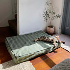 Molly Mutts Dog Duvet Forever Young Huge 70-120lbs. 22" x 27" x 5"