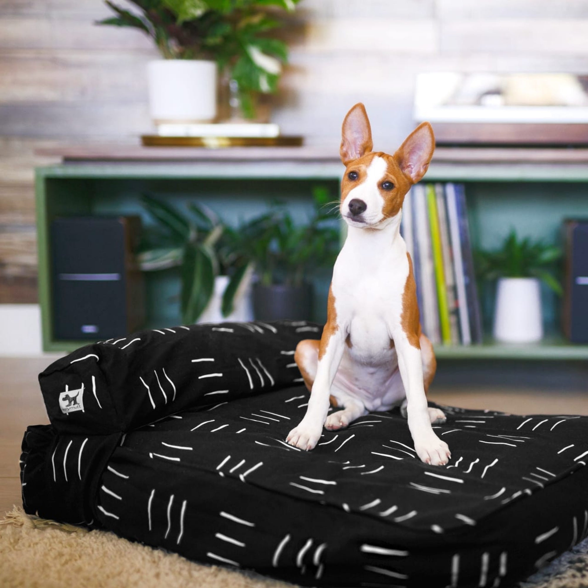 Molly Mutts Dog Duvet Dreams Medium/Large 30-70lbs. 27" x 36" x 5"