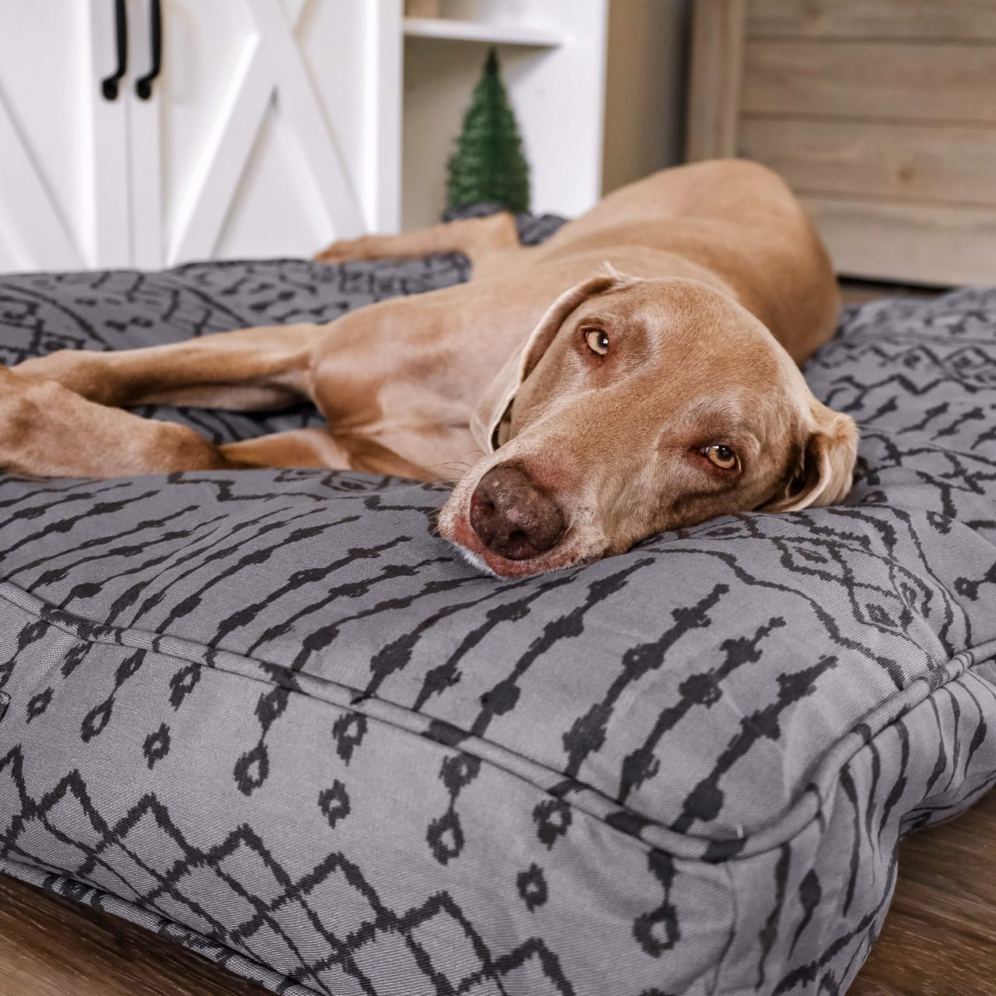 Molly Mutts Dog Duvet Wild World Medium/Large 30-70lbs. 27" x 36" x 5"