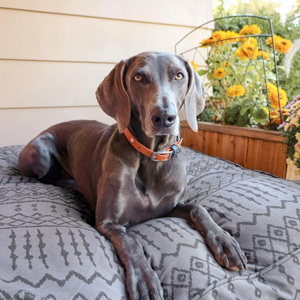 Molly Mutts Dog Duvet Wild World Huge 70-120+lbs. 36" x 45" x 5"