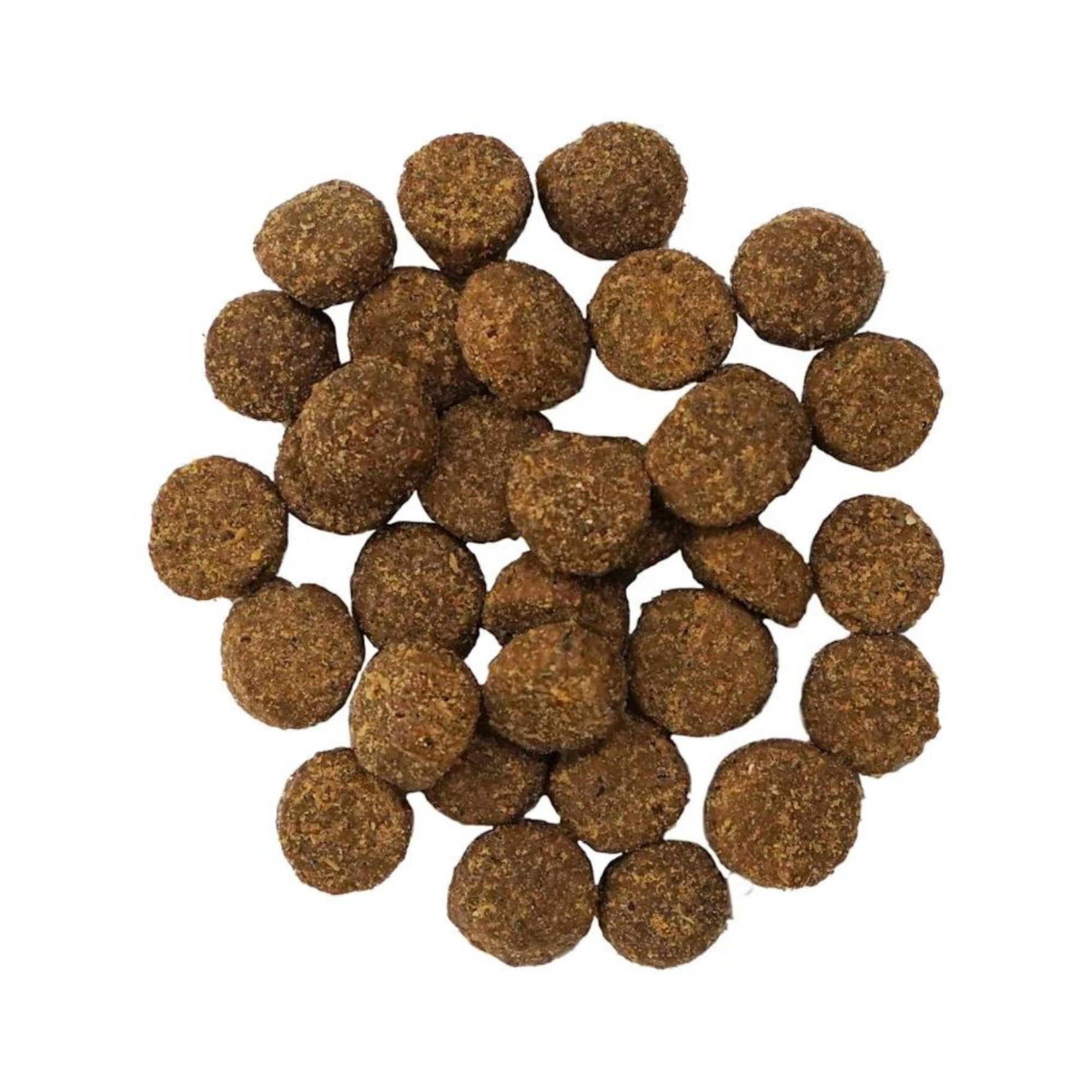 Go! Dog Digestion + Gut Health Salmon Ancient Grain 12Lb