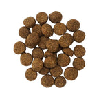 Go! Dog Digestion & Gut Health Salmon Ancient Grain 22Lb