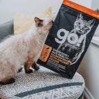 Go! Cat Digestion & Gut Health Salmon Ancient Grain 3Lb