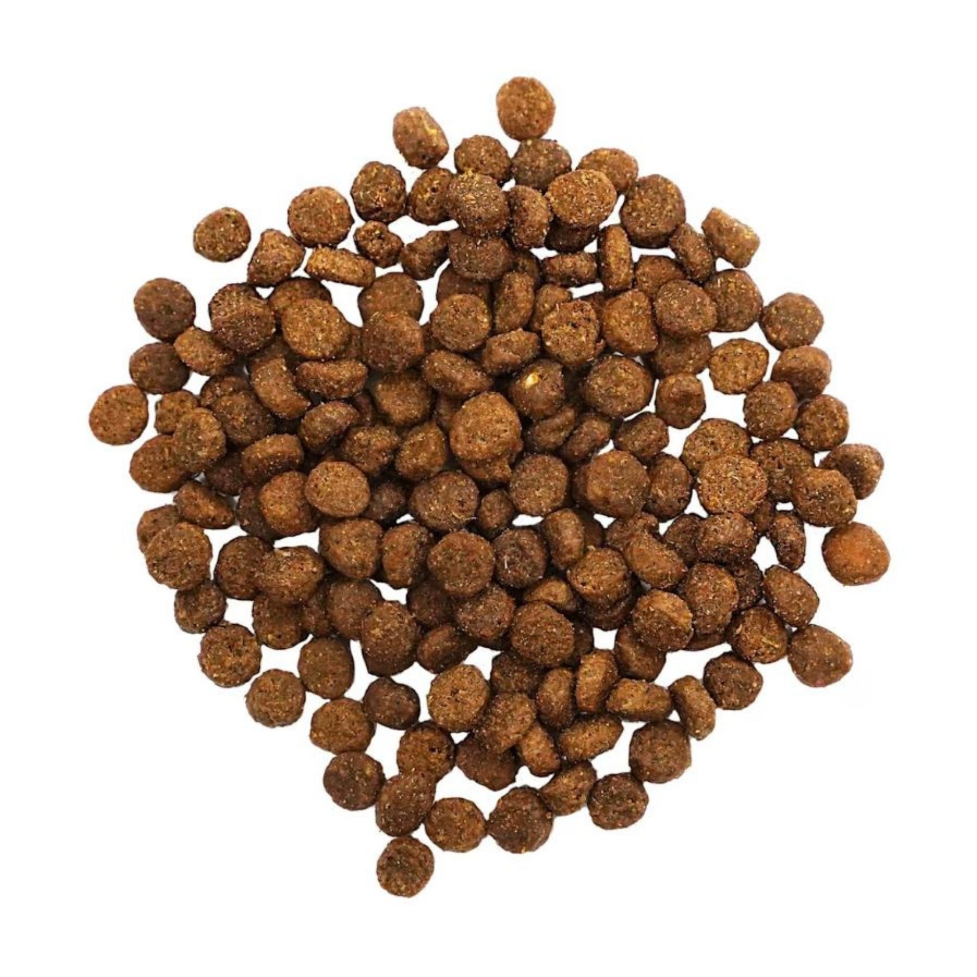 Go! Cat Digestion & Gut Health Salmon Ancient Grain 8Lb